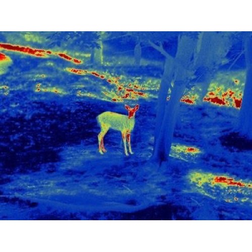 Прицел тепловизионный GUIDE TS450 в Анапе