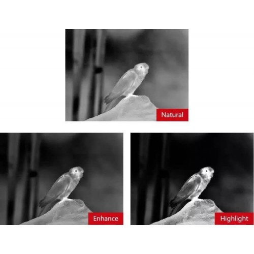 Тепловизионный бинокуляр Guide TN430 400х300, ø35мм, лазерный дальномер в Анапе