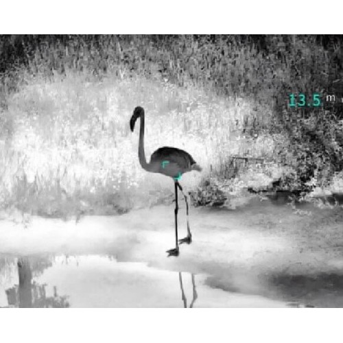 Тепловизионный бинокуляр Guide TN430 400х300, ø35мм, лазерный дальномер в Анапе