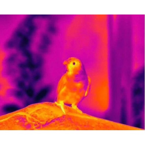 Тепловизионный бинокуляр Guide TN430 400х300, ø35мм, лазерный дальномер в Анапе